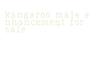 kangaroo male enhancement for sale