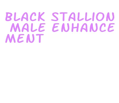 black stallion male enhancement