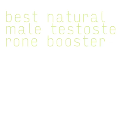best natural male testosterone booster