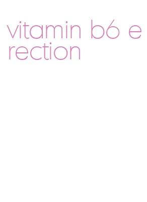 vitamin b6 erection